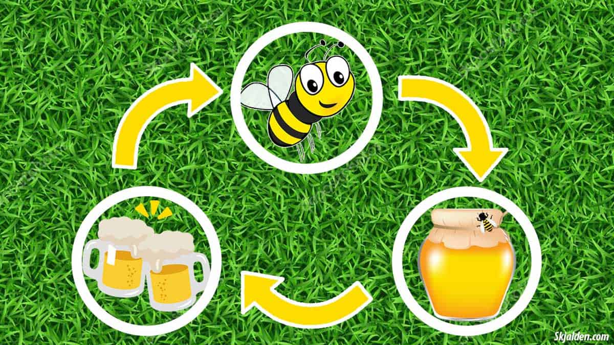 Extinction of Bees | No more Mead or Beer - Nordic Culture