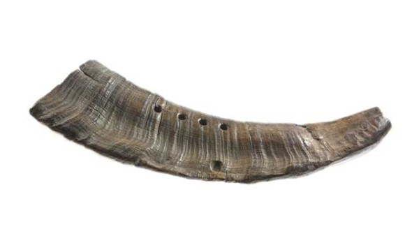 cow-goat-horn-vasterby-sweden-viking-instrument