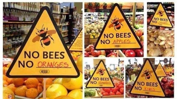 extinción de las abejas