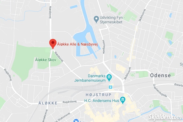location of the thor statue in odense