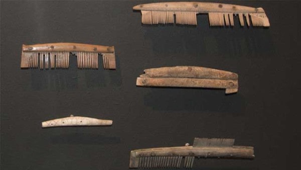 viking-combs-hygiene-viking-age