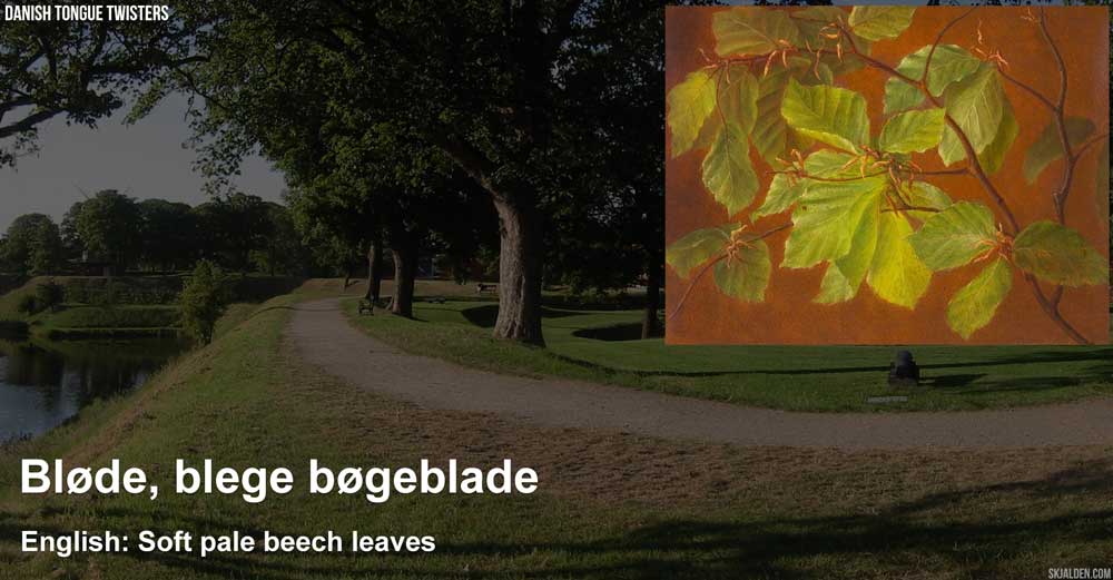 bloede-blege-boegeblade