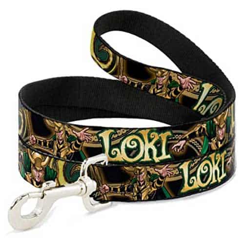 loki dog leash