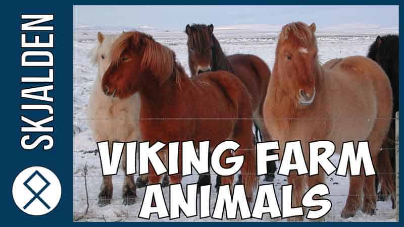 viking-animals