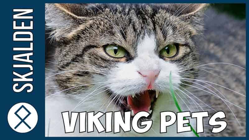 animaux vikings