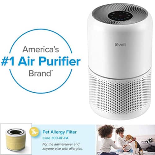 air purifier for cats