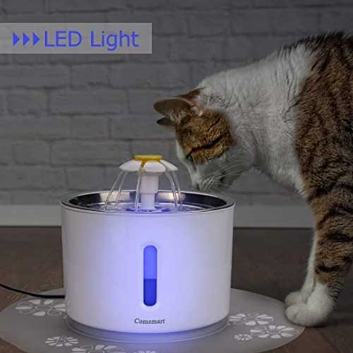 cat water fountain with light