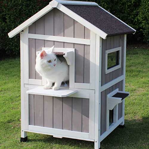 outdoor cat shelter