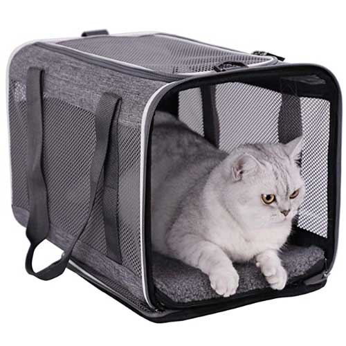 pet carrier cat gift