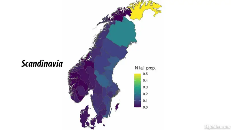 Scandinavia n1a1