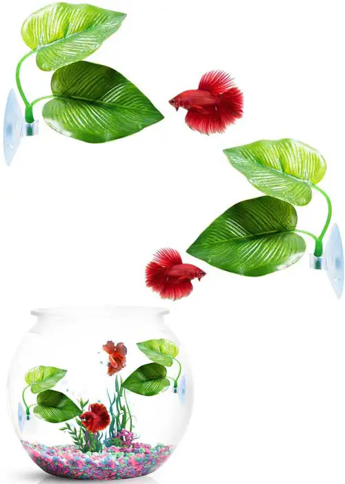 fish-leaf-pad-gifts-for-fish-tank-lovers